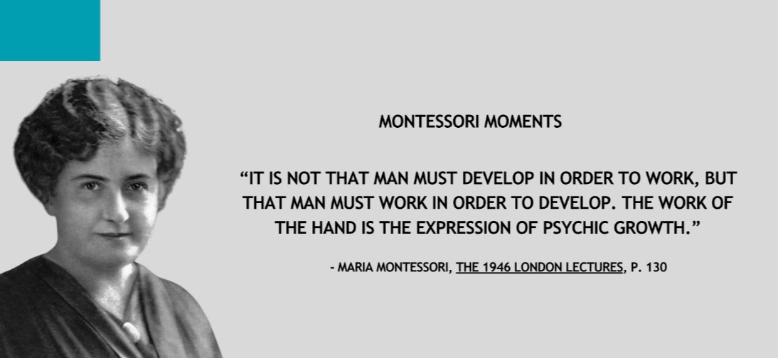 Montessori Moments July 2025